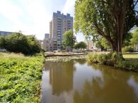 Stadhoudersplantsoen 246-A, 2517 SK Den Haag