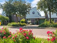 Ringmus 20, 1965 EH Heemskerk