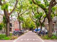 Blommersdijkselaan 38-A, 3036 ND Rotterdam