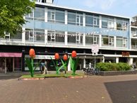 Van Loenshof 8-A, 7511 HG Enschede