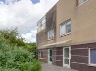 Dwergvinvisstraat 79, 1035 HN Amsterdam