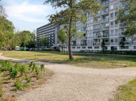 Lepelaarsingel 330, 3136 PJ Vlaardingen