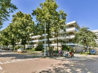 Bolestein 160, 1081 CZ Amsterdam