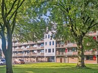 Witte de Withstraat 35, 4535 AM Terneuzen