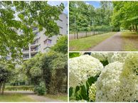 Groenhoven 449, 1103 LN Amsterdam