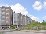 Groningsestraat 313, 2587 PH Den Haag