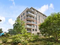 Rie Mastenbroekstraat 47, 1095 MJ Amsterdam