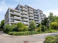 Molenzicht 47, 2317 RL Leiden