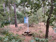 Galgesteeg, 5343 XN Oss