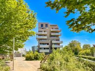 Pauwoogvlinder 36-C, 3544 DB Utrecht