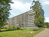 Tjasker 34, 1035 CR Amsterdam