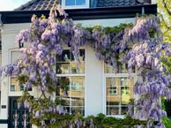 Oude Haagweg 653, 2552 GL Den Haag