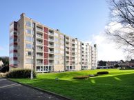 Van Alkemadelaan 828, 2597 BD Den Haag