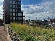 Dr. Lelykade 36-B, 2583 CM Den Haag