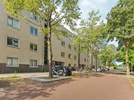 Marjoleinstraat 99, 1034 DS Amsterdam