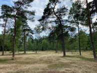 Zeisterweg, 3931 MK Woudenberg