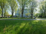 Burgemeester Wuiteweg 249, 9203 KG Drachten