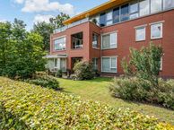 Riemsnijder 35, 9301 BT Roden