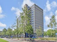 Pisuissestraat 375, 2553 BL Den Haag