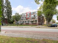 S.M. Hugo van Gijnweg 243, 3317 JJ Dordrecht
