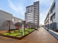 Pieter Vreedeplein 110, 5038 BW Tilburg