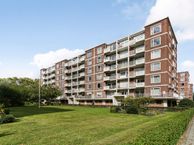 Ranonkelstraat 267, 2565 BE Den Haag