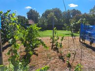 Goropiuslaan 8, 5081 EK Hilvarenbeek