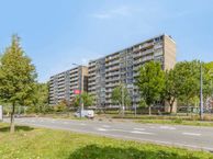 Nieuwe Damlaan 413, 3119 AJ Schiedam