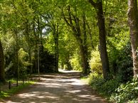 Werkdroger 10, 1251 CM Laren (NH)