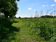 Lambalgseweg, 3931 PK Woudenberg