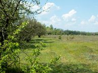 Lambalgseweg, 3931 PK Woudenberg