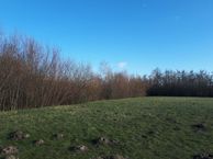 Laan van Westerhout kavel 14 (Bouwnr. 14), 2136 ND Zwaanshoek