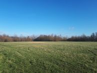 Laan van Westerhout kavel 4 (Bouwnr. 4), 2136 ND Zwaanshoek