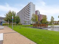 Plein 1953 164, 3086 EL Rotterdam