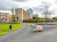 Verlengde Meeuwerderweg 71, 9723 ZM Groningen