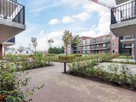 Timmerrak 19, 1506 TP Zaandam