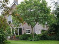 Opperduit 334, 2941 AP Lekkerkerk