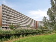 Arendshorst 157, 2317 CZ Leiden