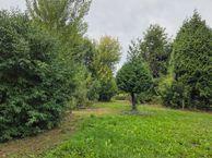 Oude Maasdijk 24, 6621 AC Dreumel