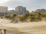 Adelaert 39, 2202 PM Noordwijk (ZH)