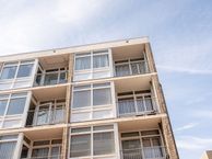 Westerbaenstraat 236, 2513 GK Den Haag