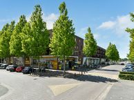 Basilica 109, 6661 TV Elst (GE)