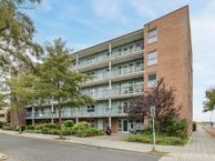 Rode Ring 239, 1566 TW Assendelft