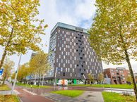 Het Hout 196, 9723 LC Groningen