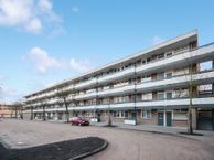 Bolestein 342, 1081 EE Amsterdam