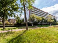 Texelhof 45, 2036 KB Haarlem