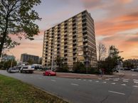 Teunisbloemplein 40, 2555 AB Den Haag