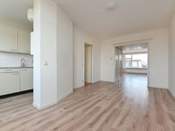 Driebergenstraat 317, 2546 BJ Den Haag