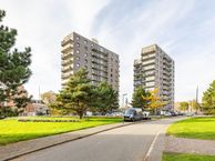 De Brink 84, 9723 AM Groningen