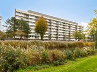 Henry Dunantlaan 10, 4334 BA Middelburg